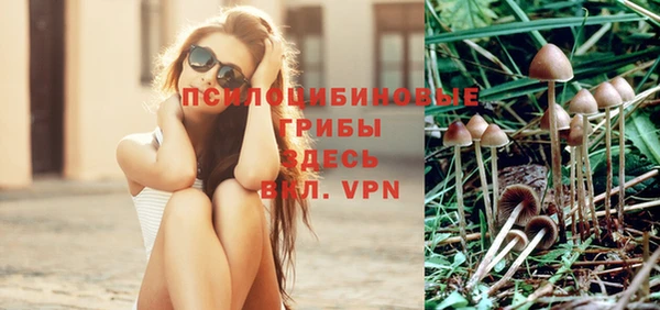 стафф Армянск