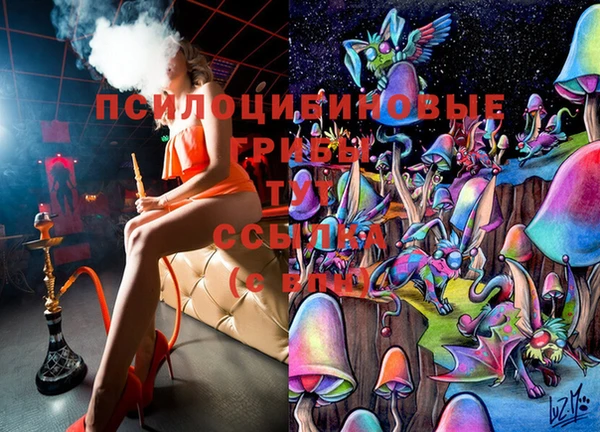 стафф Армянск